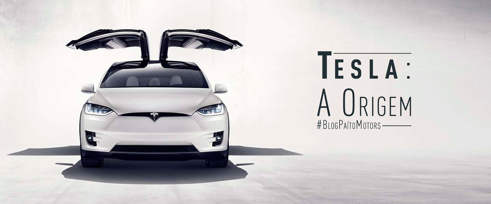 Tesla Motors – A história da montadora que vem mudando o mundo – A Origem