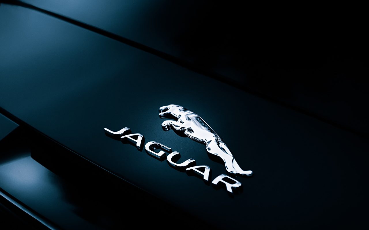 Tipos de Jaguar: veja as diferenças entre os modelos XJ, XE e XF!